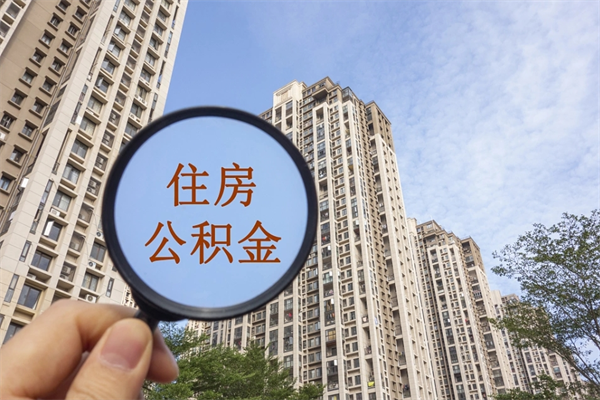 公积金还看征信吗吗_桓台公积金代办在职离职封存服务